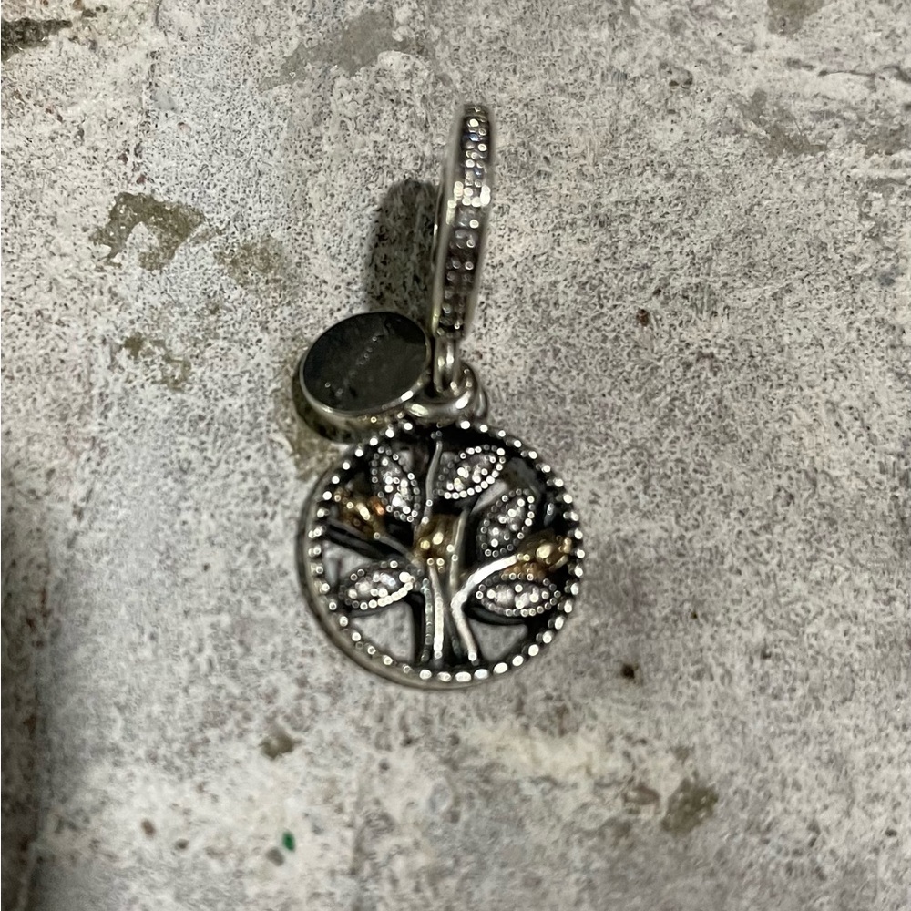 Family Heritage Charm